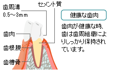 健康な状態